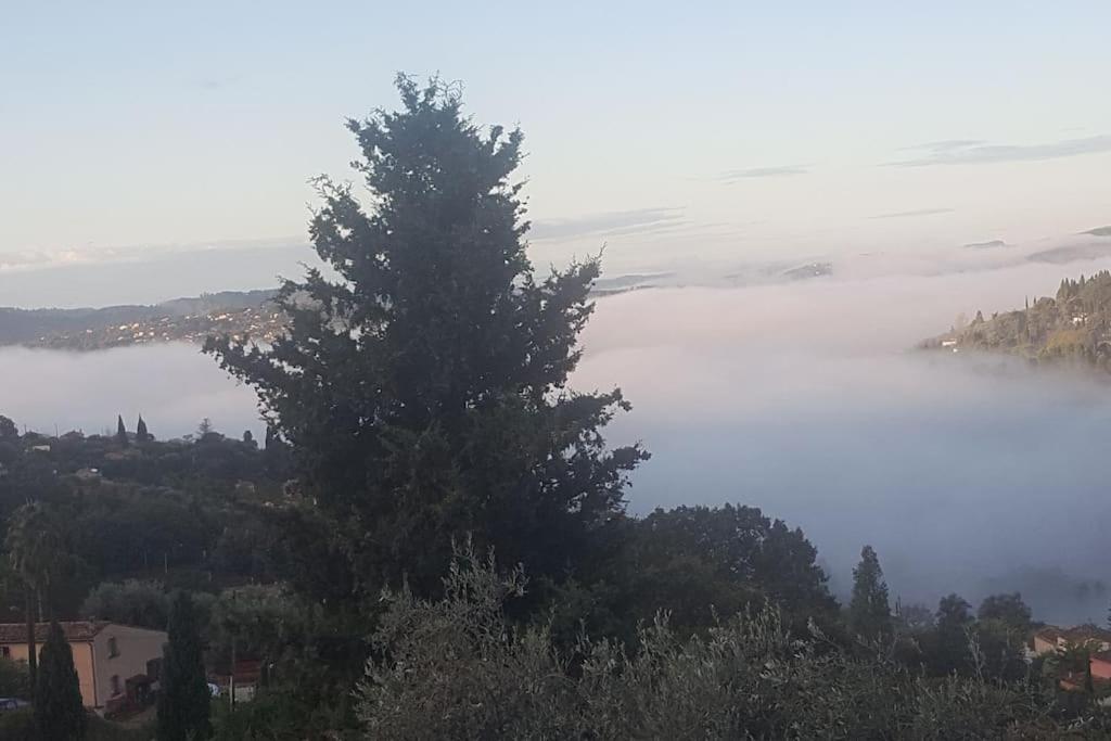 De 1 A 6 Avec Terrasse Solarium, Vue Panoramique Et Parking Gratuit Διαμέρισμα Γκρας Εξωτερικό φωτογραφία